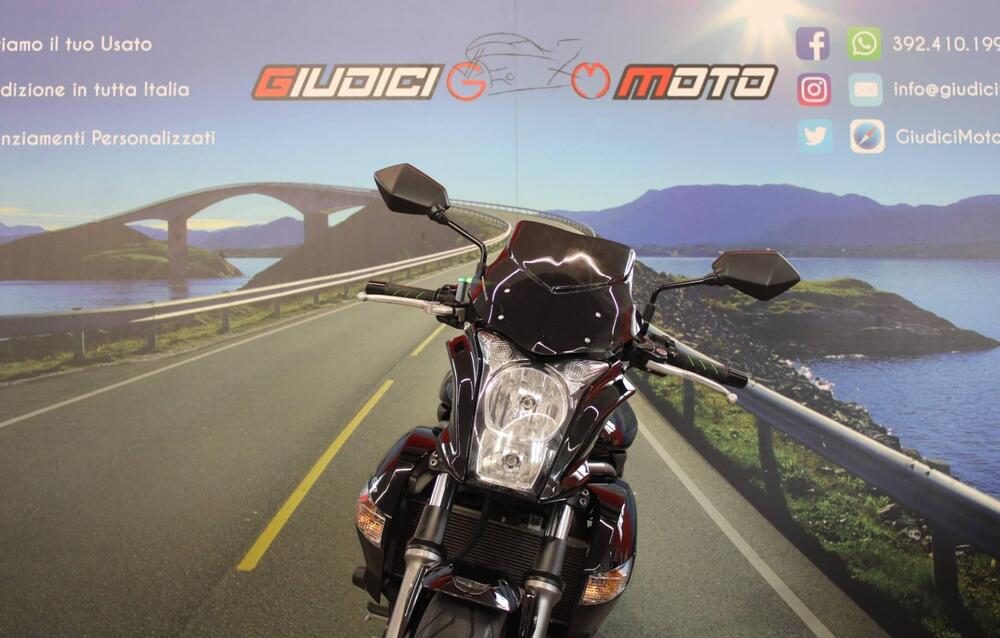 Kawasaki ER-6N (2009 - 11) (9)