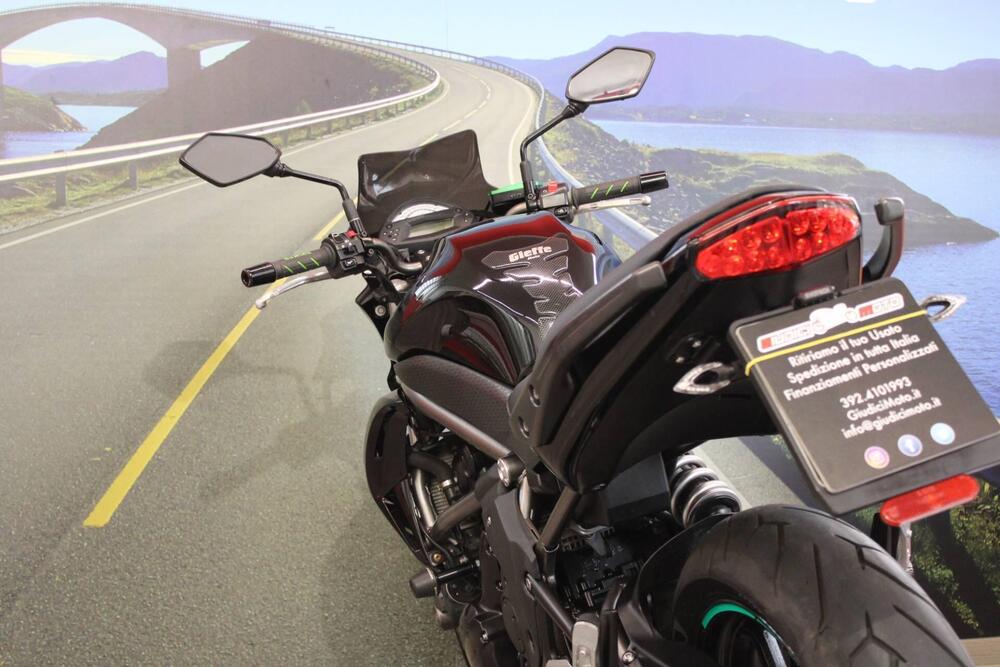 Kawasaki ER-6N (2009 - 11) (17)