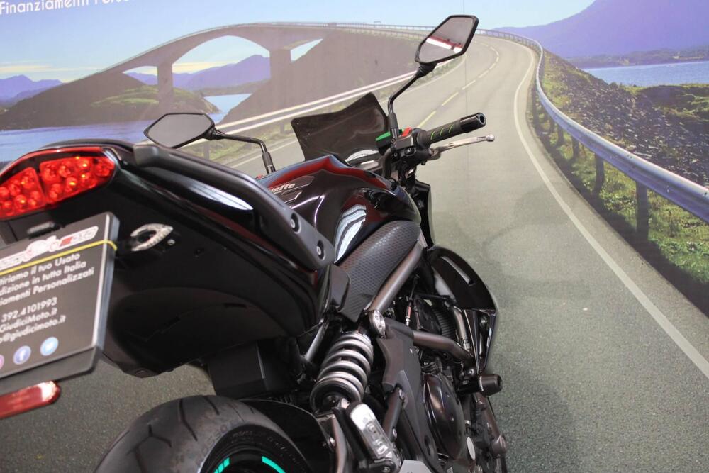 Kawasaki ER-6N (2009 - 11) (18)