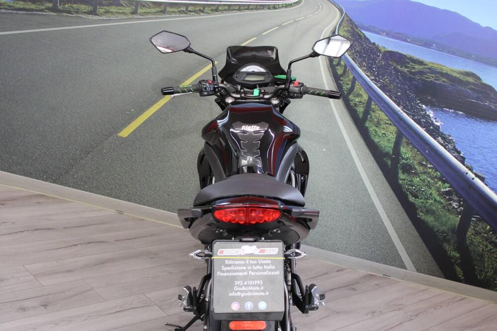 Kawasaki ER-6N (2009 - 11) (19)