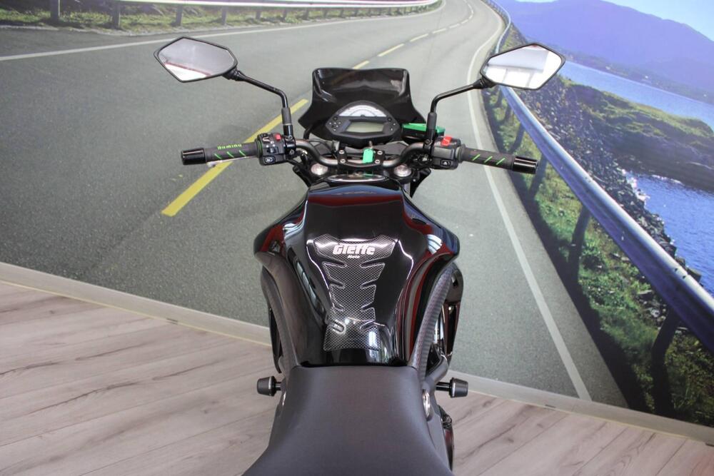 Kawasaki ER-6N (2009 - 11) (20)