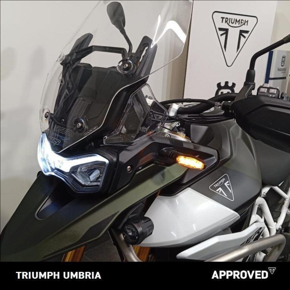 Triumph Tiger 900 Rally Pro (2024 - 25) (3)