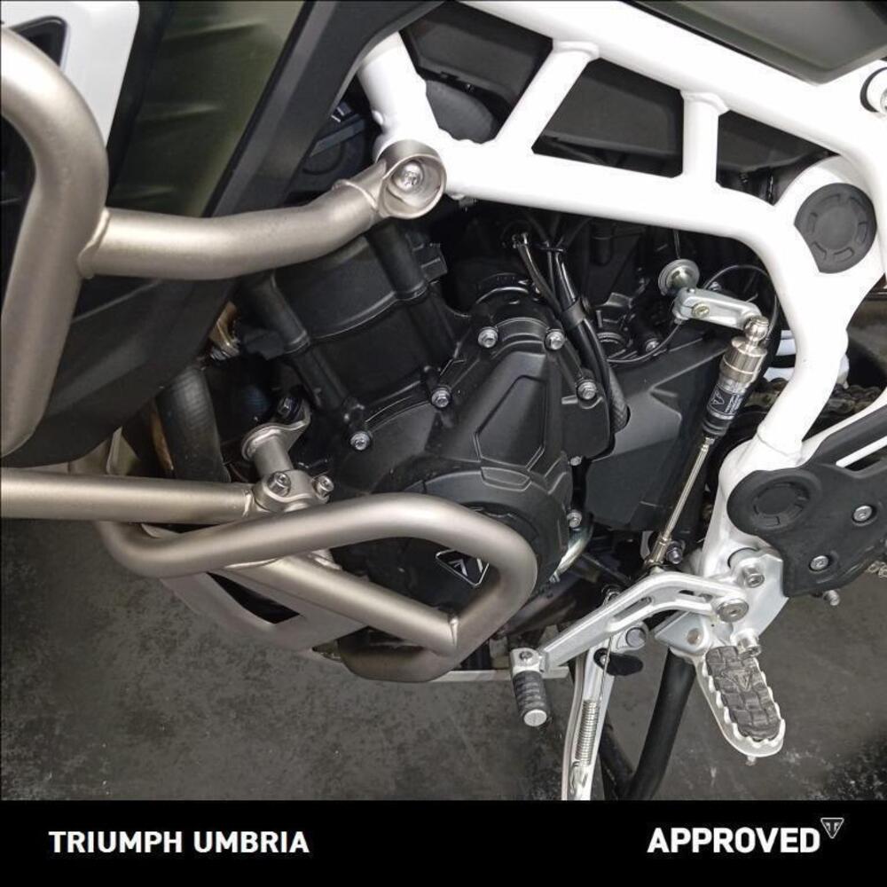 Triumph Tiger 900 Rally Pro (2024 - 25) (4)