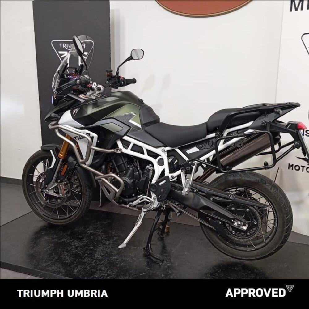 Triumph Tiger 900 Rally Pro (2024 - 25) (5)