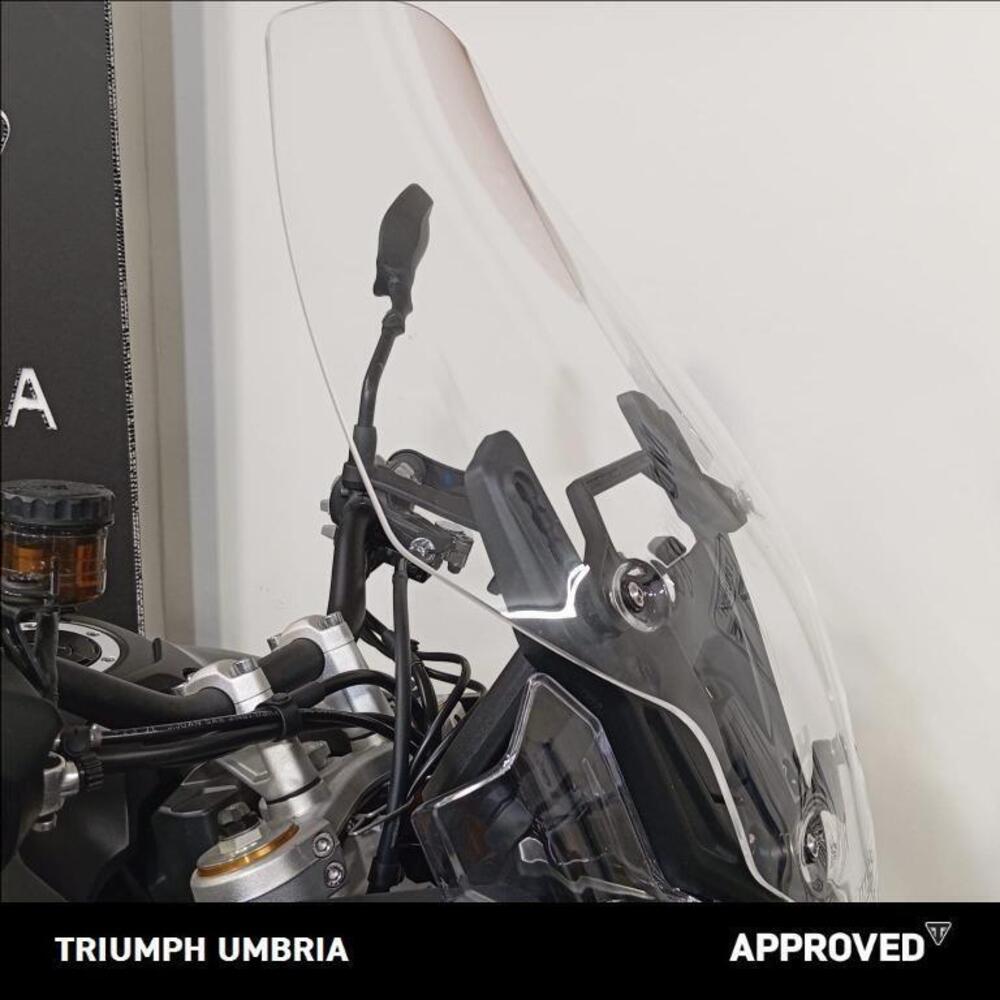 Triumph Tiger 900 Rally Pro (2024 - 25) (8)