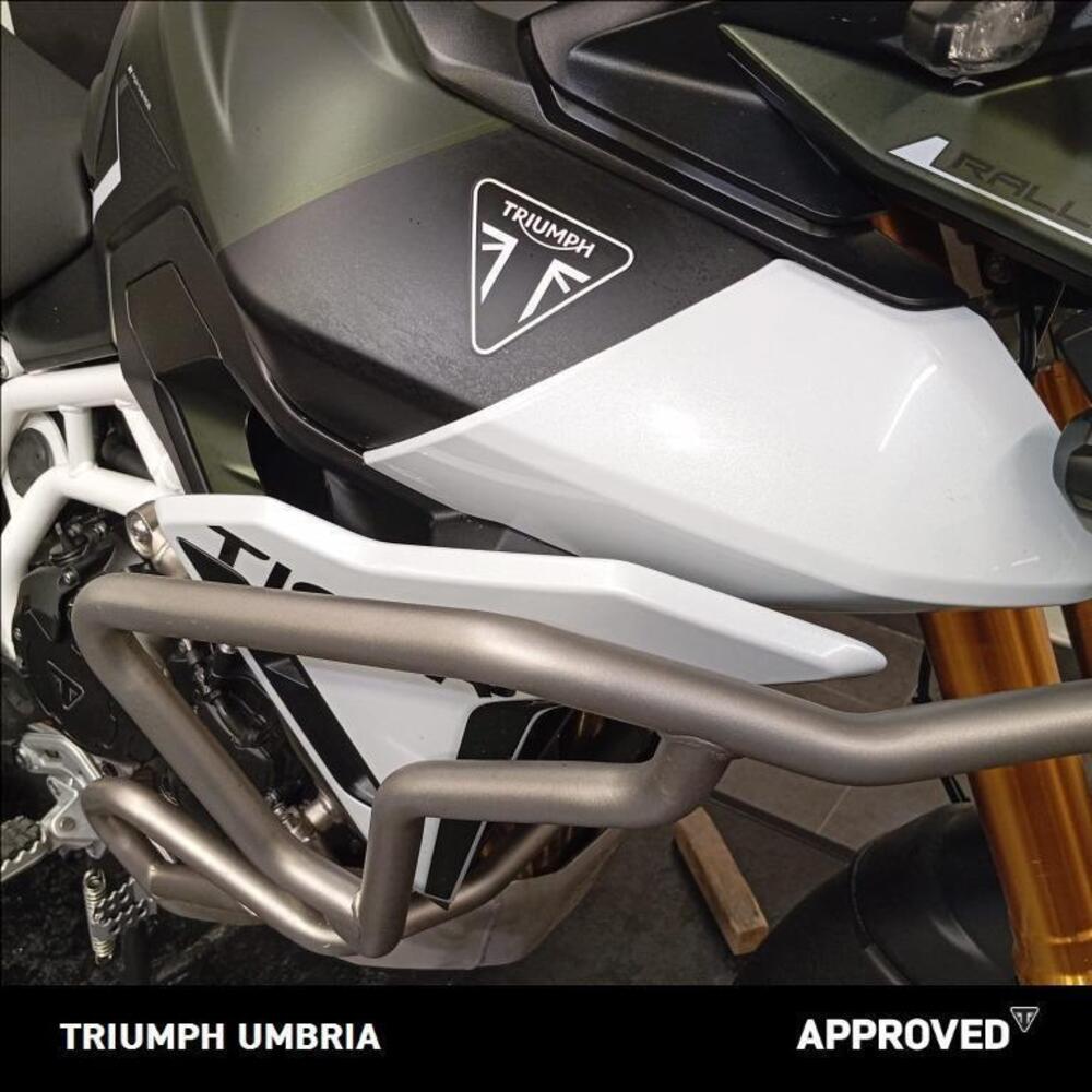 Triumph Tiger 900 Rally Pro (2024 - 25) (13)