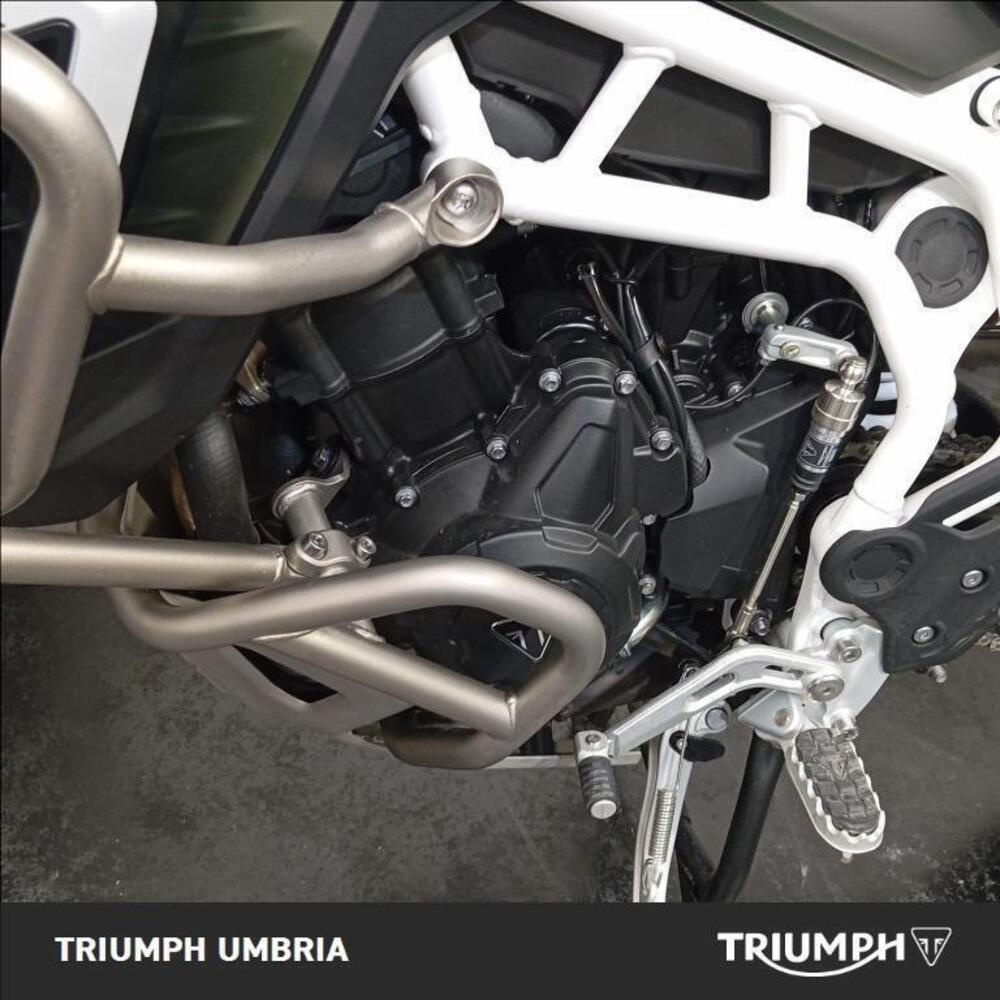 Triumph Tiger 900 Rally Pro (2024 - 25) (4)