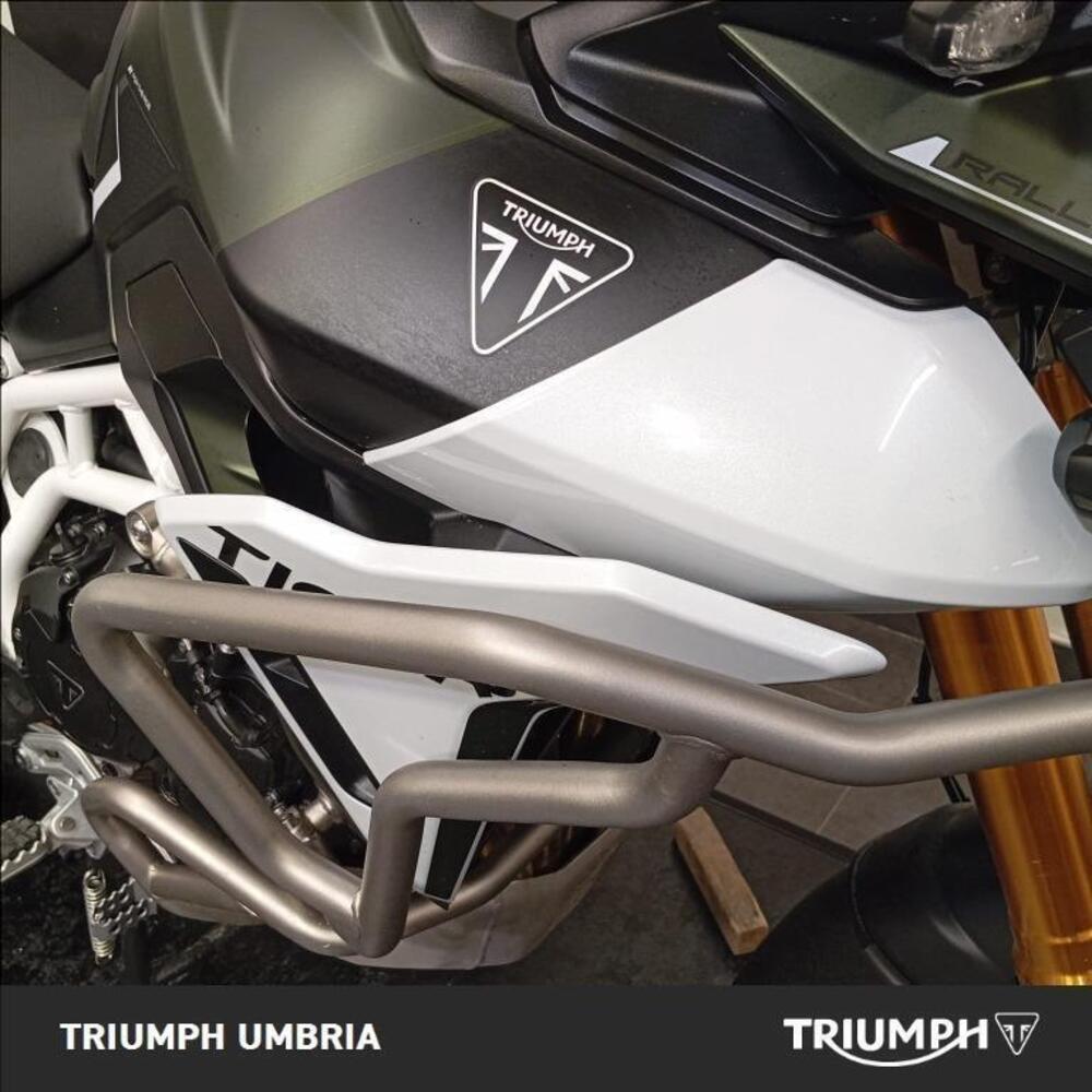 Triumph Tiger 900 Rally Pro (2024 - 25) (13)