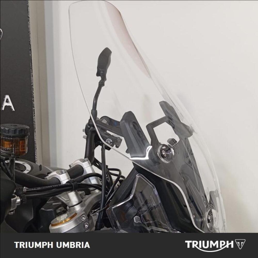 Triumph Tiger 900 Rally Pro (2024 - 25) (8)