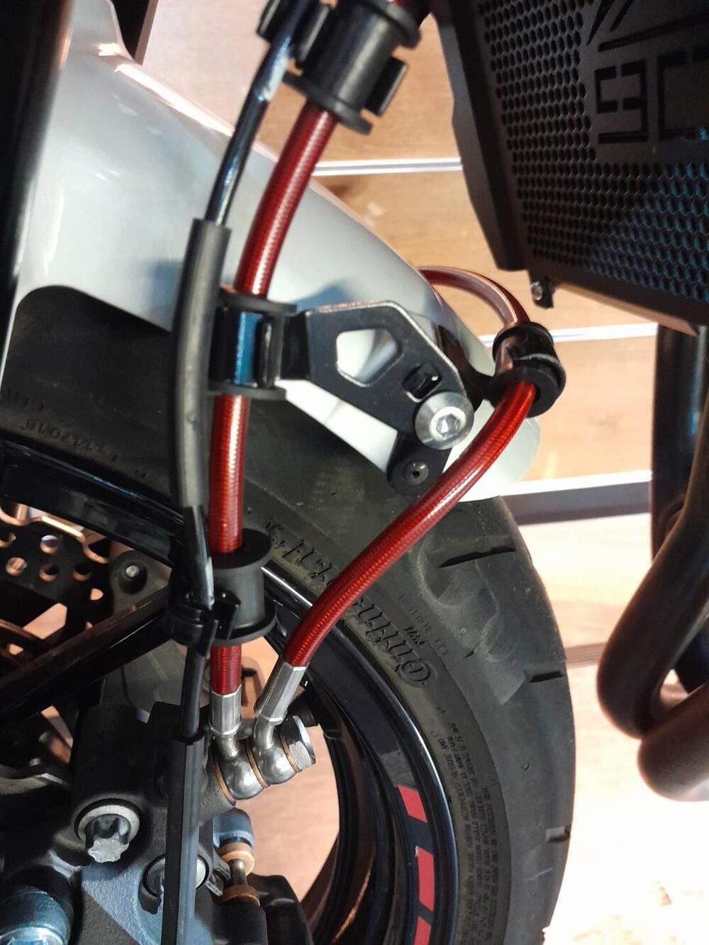 Kawasaki Z 900 (2021 - 24) (7)