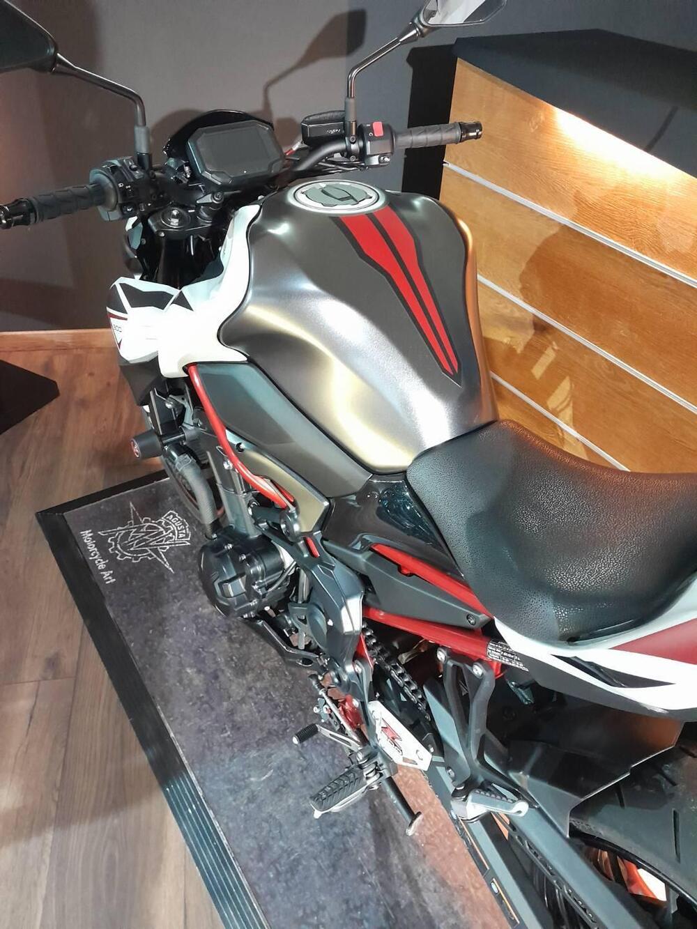 Kawasaki Z 900 (2021 - 24) (9)