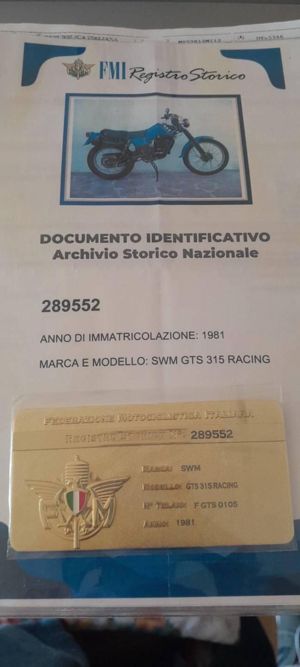 Swm 315 GTS racing (5)