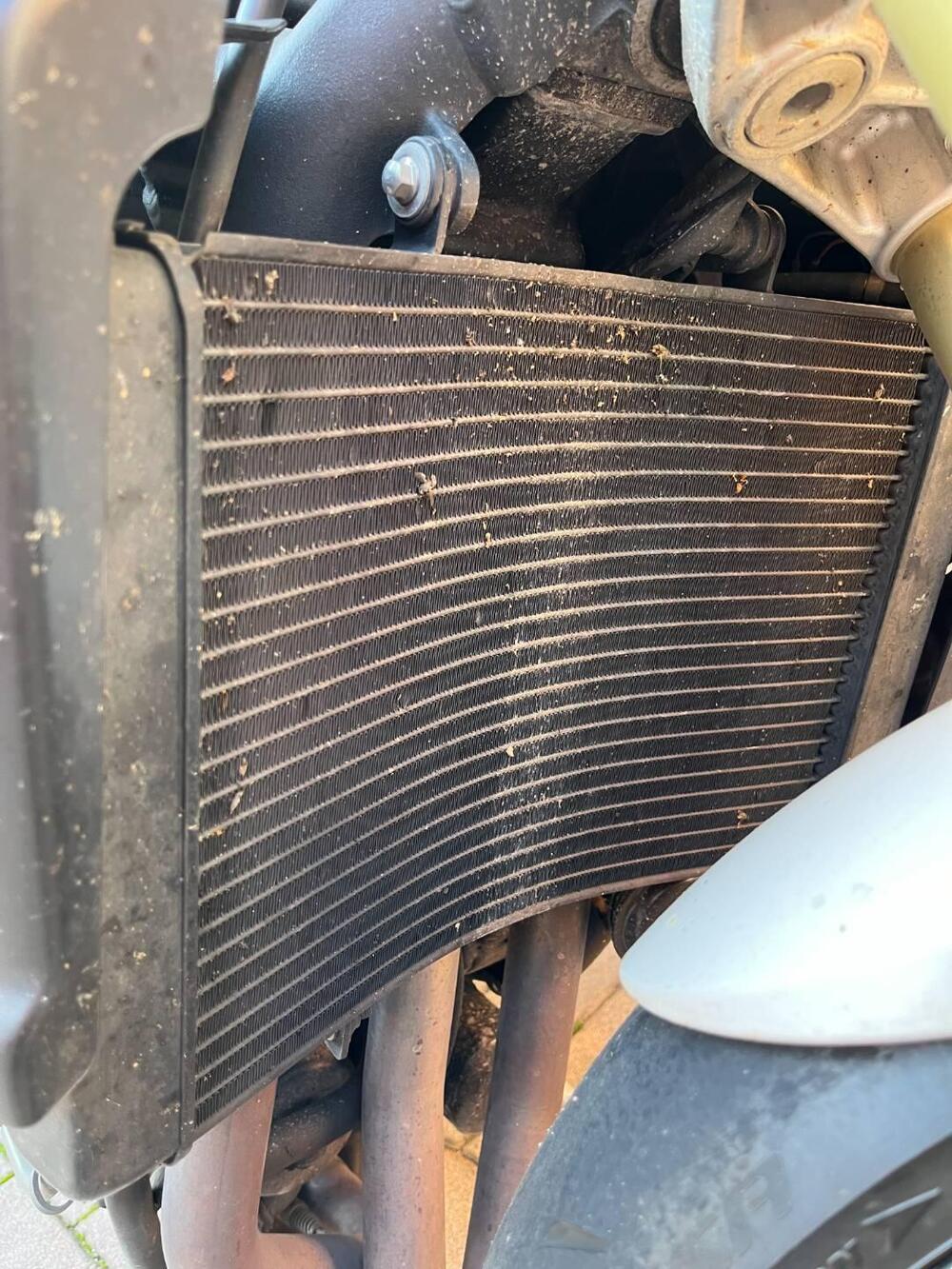 Triumph Street Triple (2007 - 12) (17)