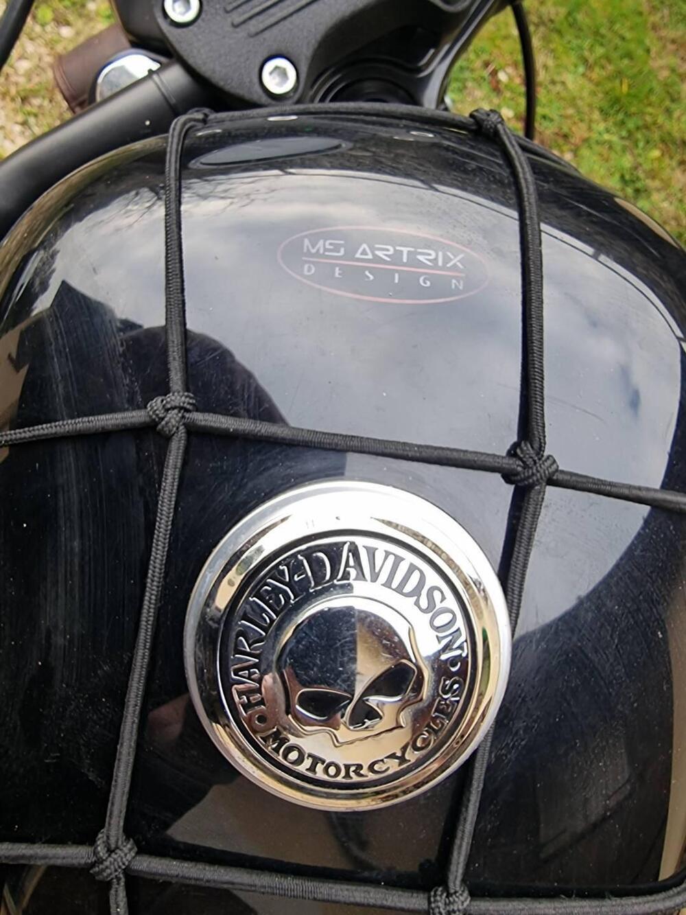 Harley-Davidson 883 Iron (2017 - 20) - XL 883N (9)