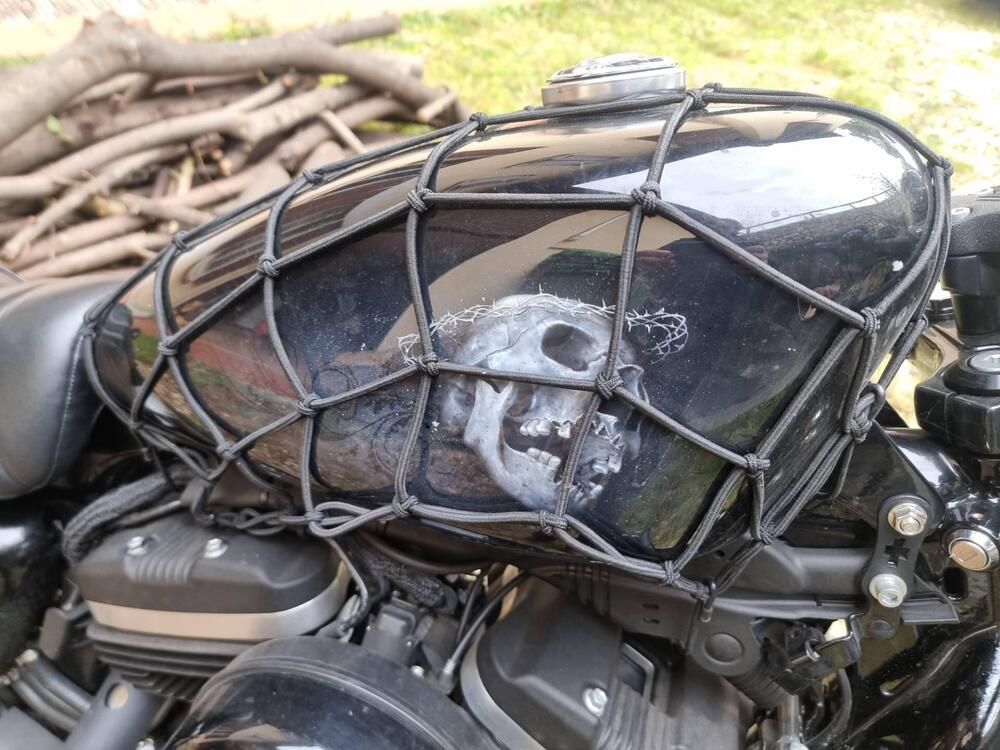 Harley-Davidson 883 Iron (2017 - 20) - XL 883N (11)