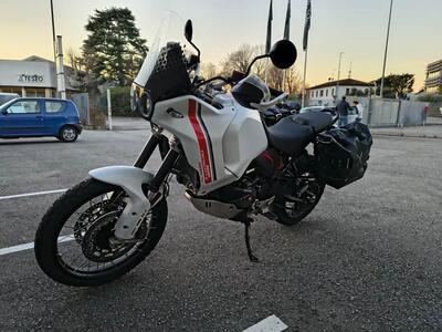 Ducati DesertX (2022 - 25) usata