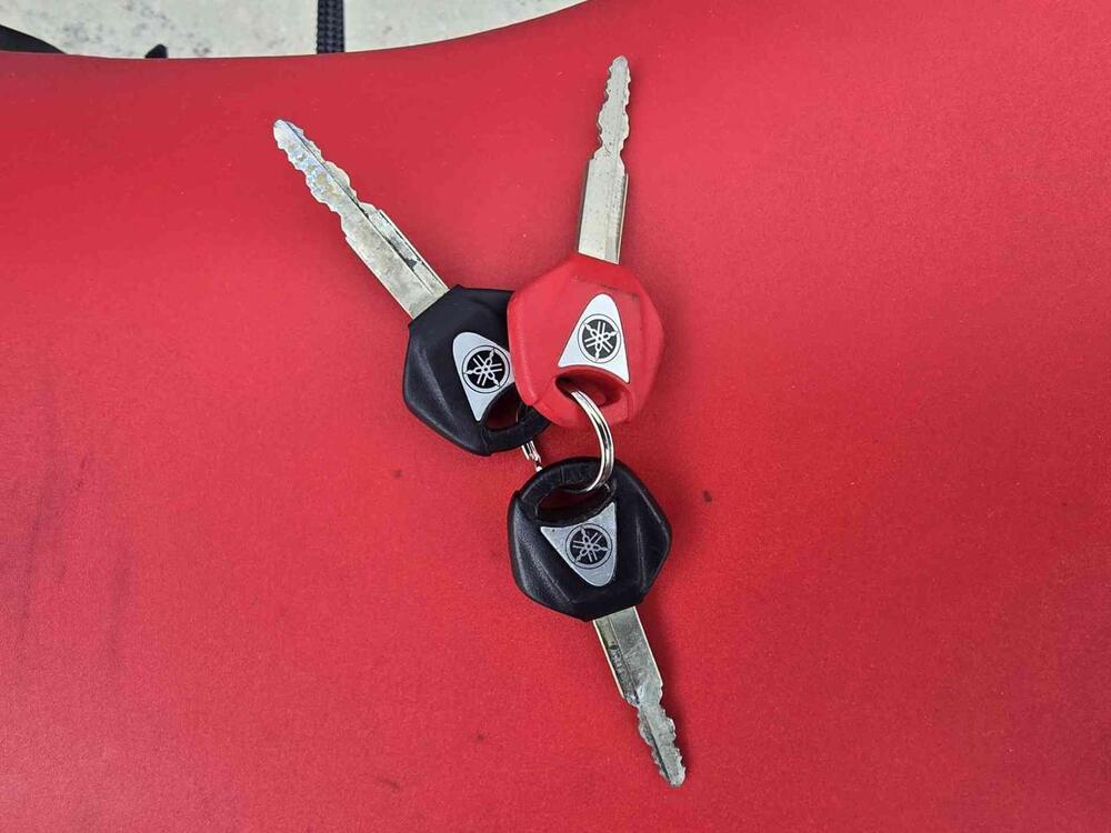 Yamaha YZF R1 (2007 - 08) (24)