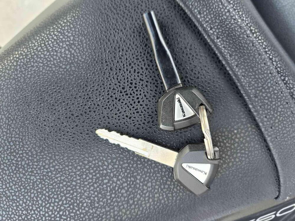 Kawasaki Z 650 (2017 - 19) (7)