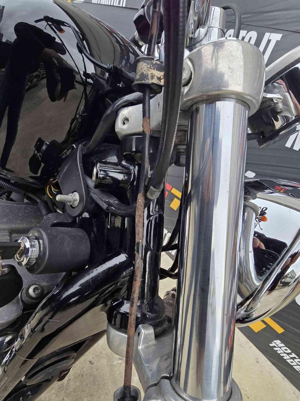 Harley-Davidson 883 Custom (2006 - 07) - XL 883C (22)