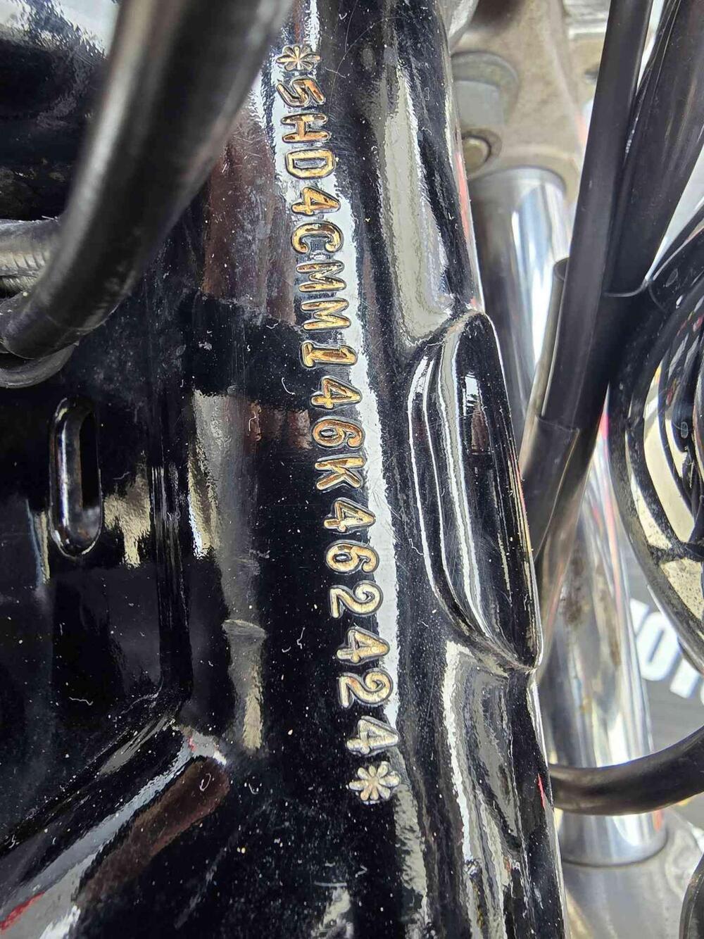 Harley-Davidson 883 Custom (2006 - 07) - XL 883C (24)