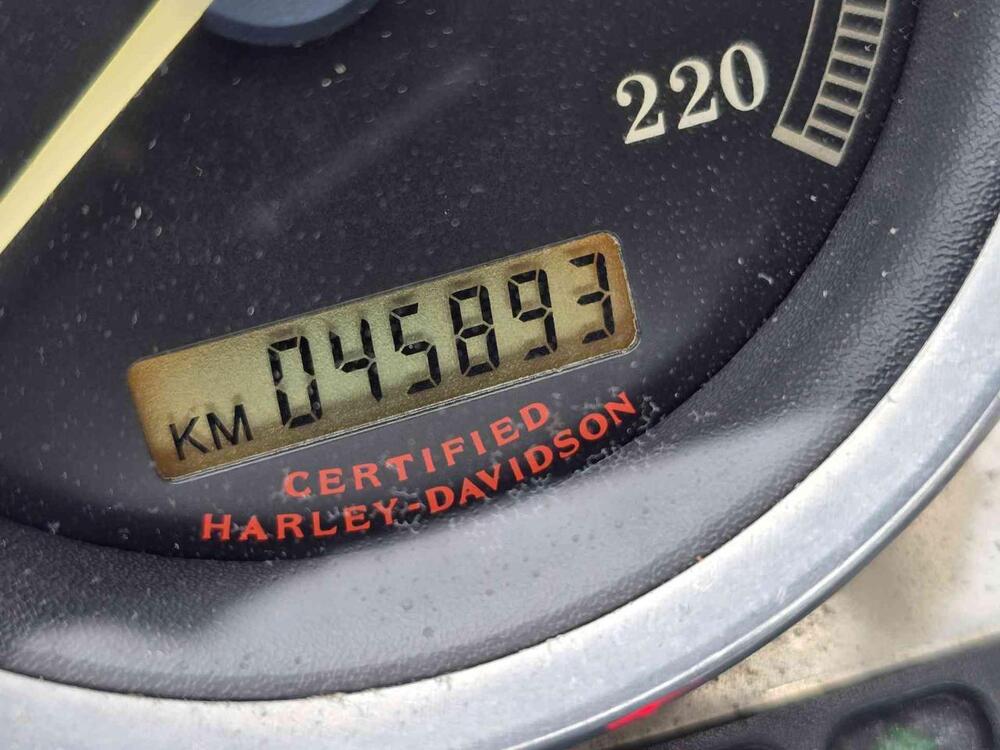 Harley-Davidson 883 Custom (2006 - 07) - XL 883C (26)