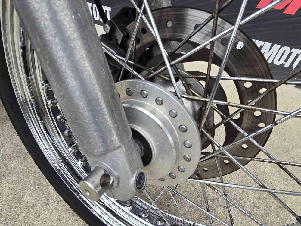 Harley-Davidson 883 Custom (2006 - 07) - XL 883C (15)