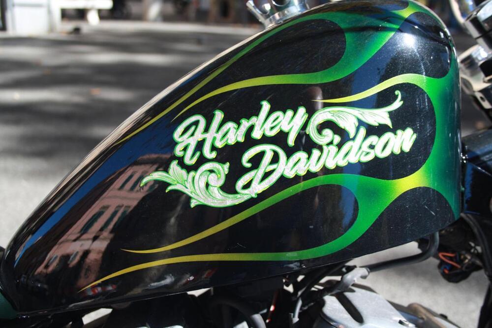 Harley-Davidson 883 Hugger (1994 - 00) - XLH (51)