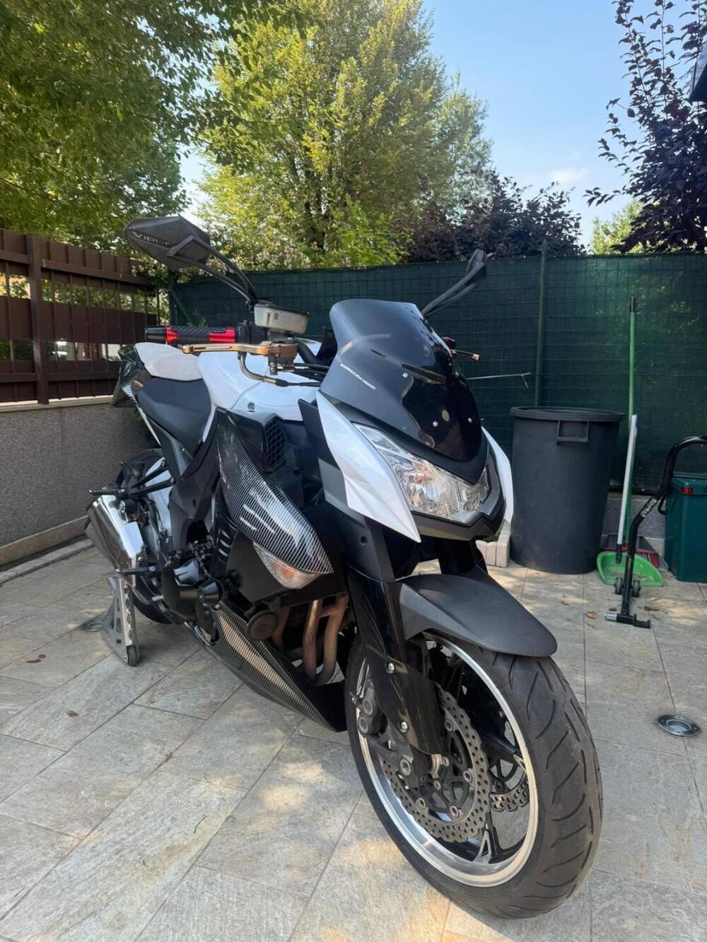 Kawasaki Z 1000 (2010 - 13) (2)