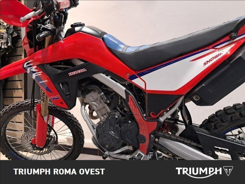 Honda CRF 300 L (2021 - 24) (11)