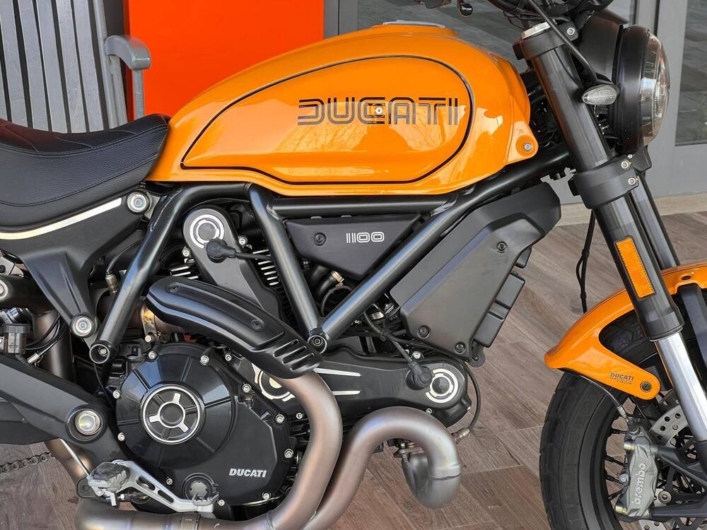 Ducati Scrambler 1100 Tribute Pro (2022 - 24) (3)