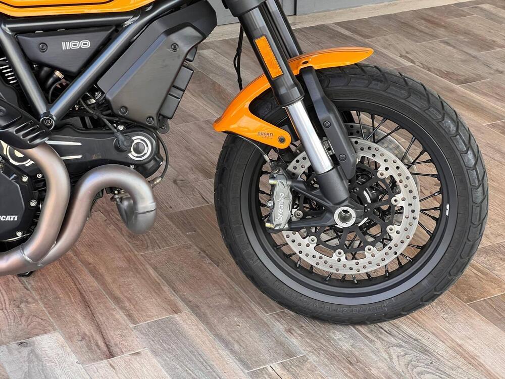 Ducati Scrambler 1100 Tribute Pro (2022 - 24) (4)