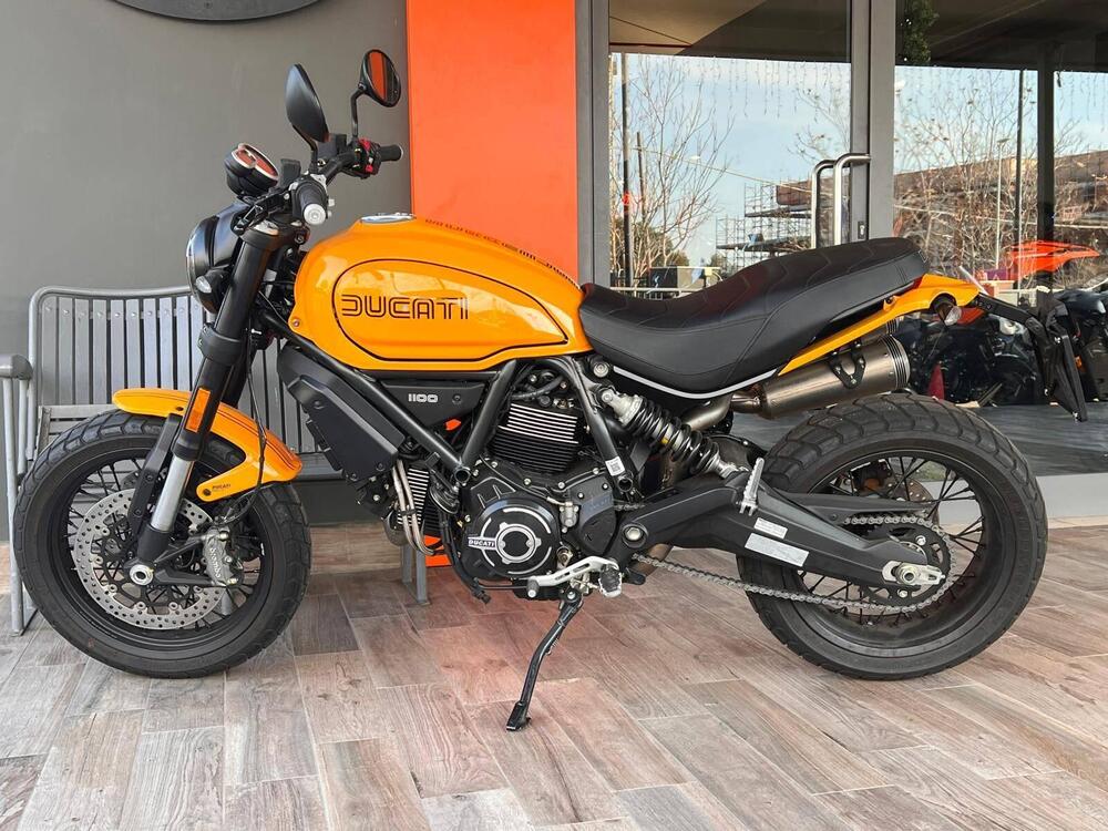 Ducati Scrambler 1100 Tribute Pro (2022 - 24) (5)