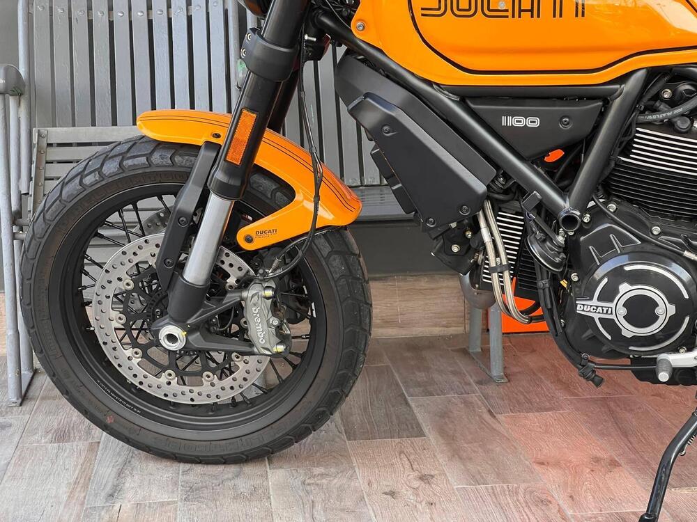 Ducati Scrambler 1100 Tribute Pro (2022 - 24) (6)