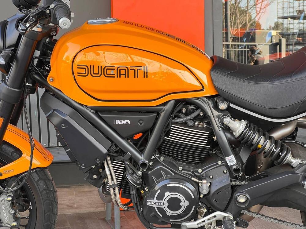 Ducati Scrambler 1100 Tribute Pro (2022 - 24) (7)