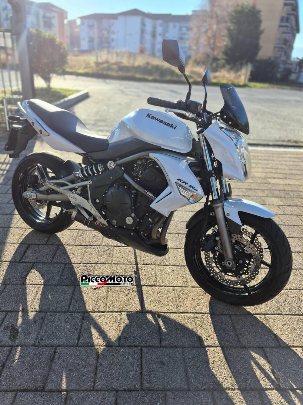 Kawasaki ER-6N (2009 - 11) (4)