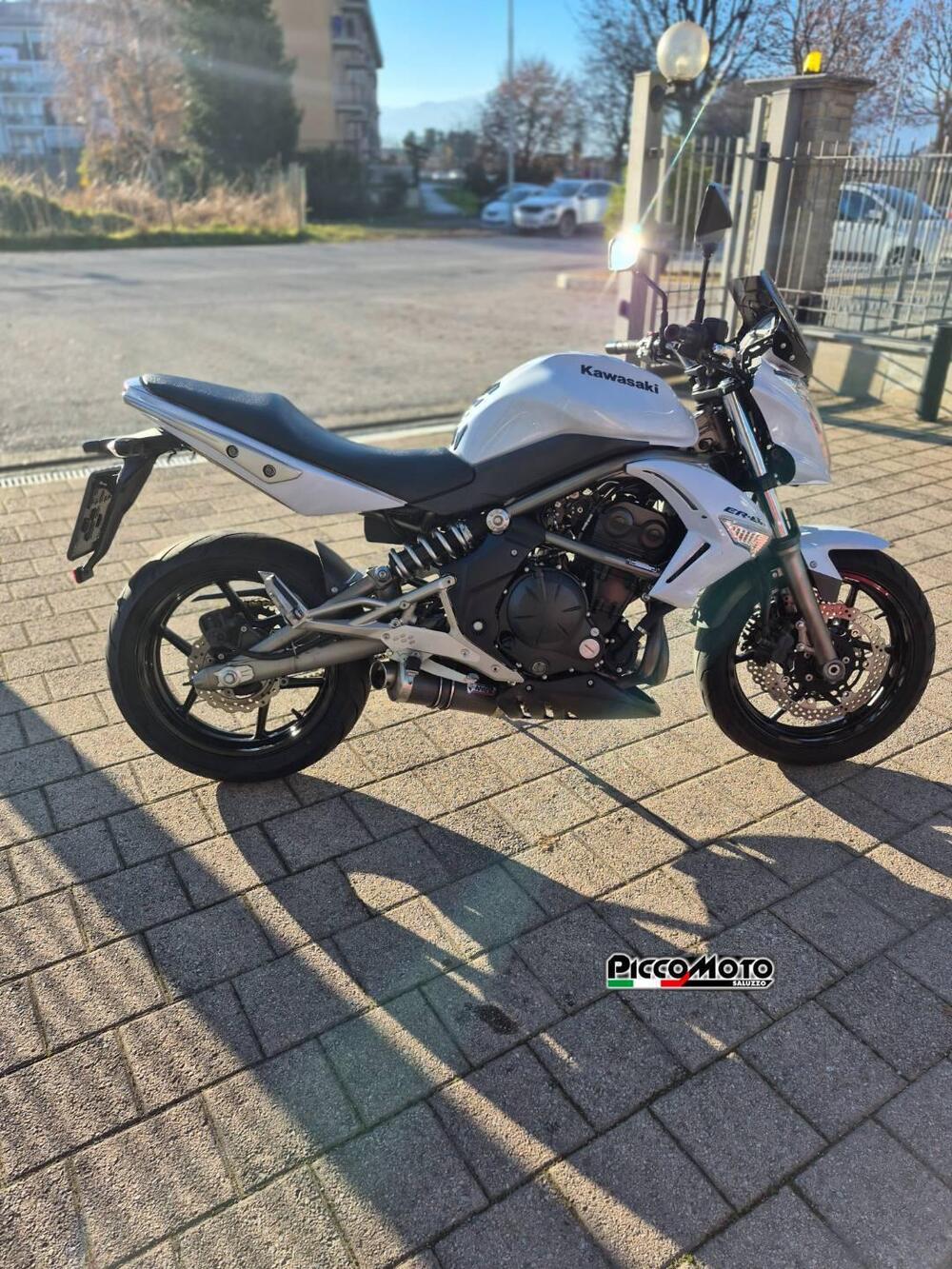 Kawasaki ER-6N (2009 - 11) (5)