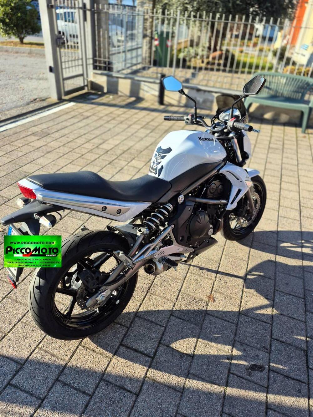 Kawasaki ER-6N (2009 - 11) (6)