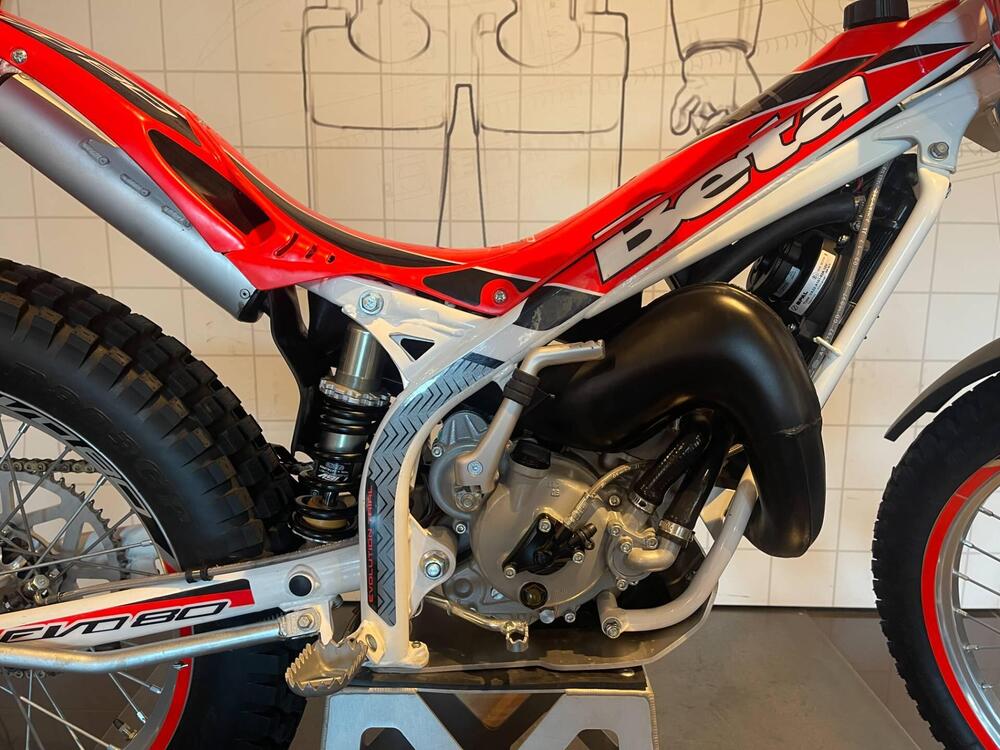 Betamotor Evo 80 Senior (2011 - 25) (2)