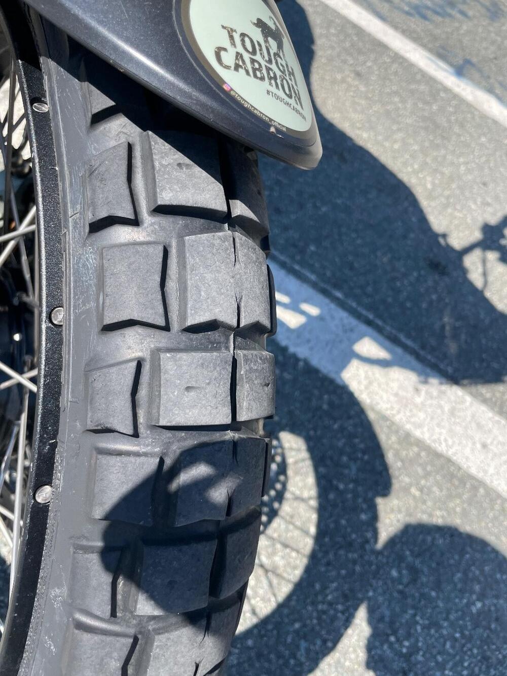 Ducati DesertX (2022 - 25) (16)