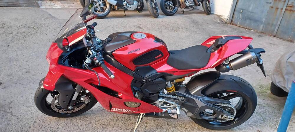 Ducati Panigale V4 (2025) (2)
