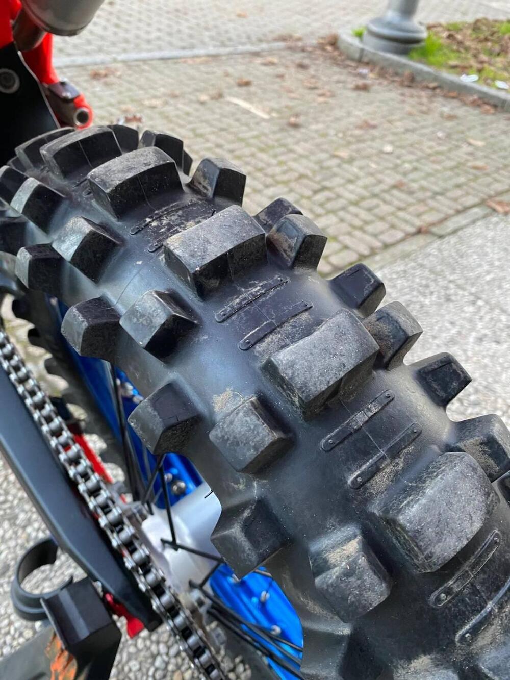 Betamotor RX 300 2T (2024 - 25) (2)