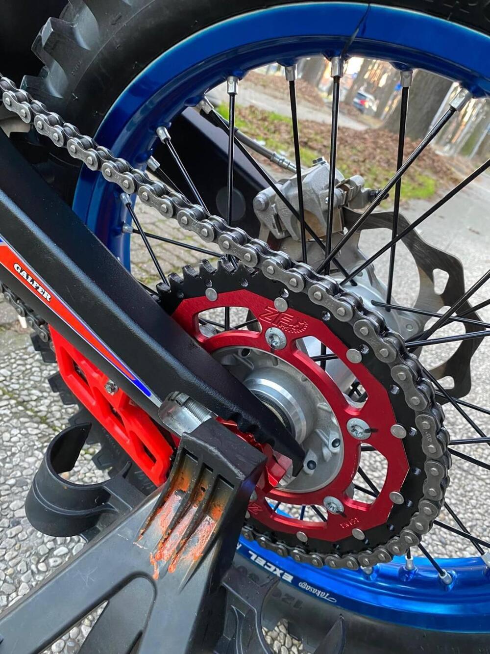 Betamotor RX 300 2T (2024 - 25) (3)