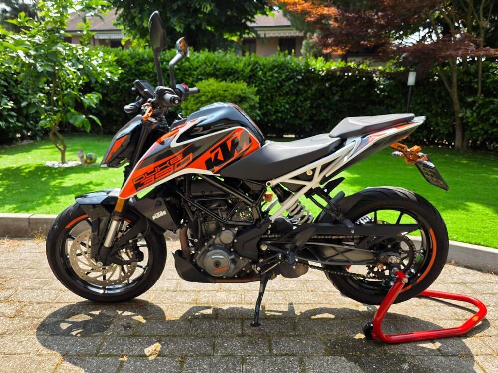 KTM 390 Duke (2024 - 26)