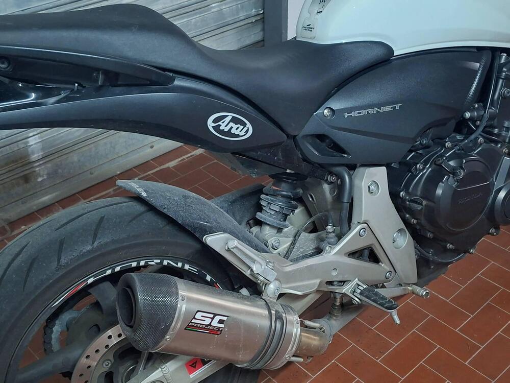 Honda Hornet 600 (2007 - 10) (2)