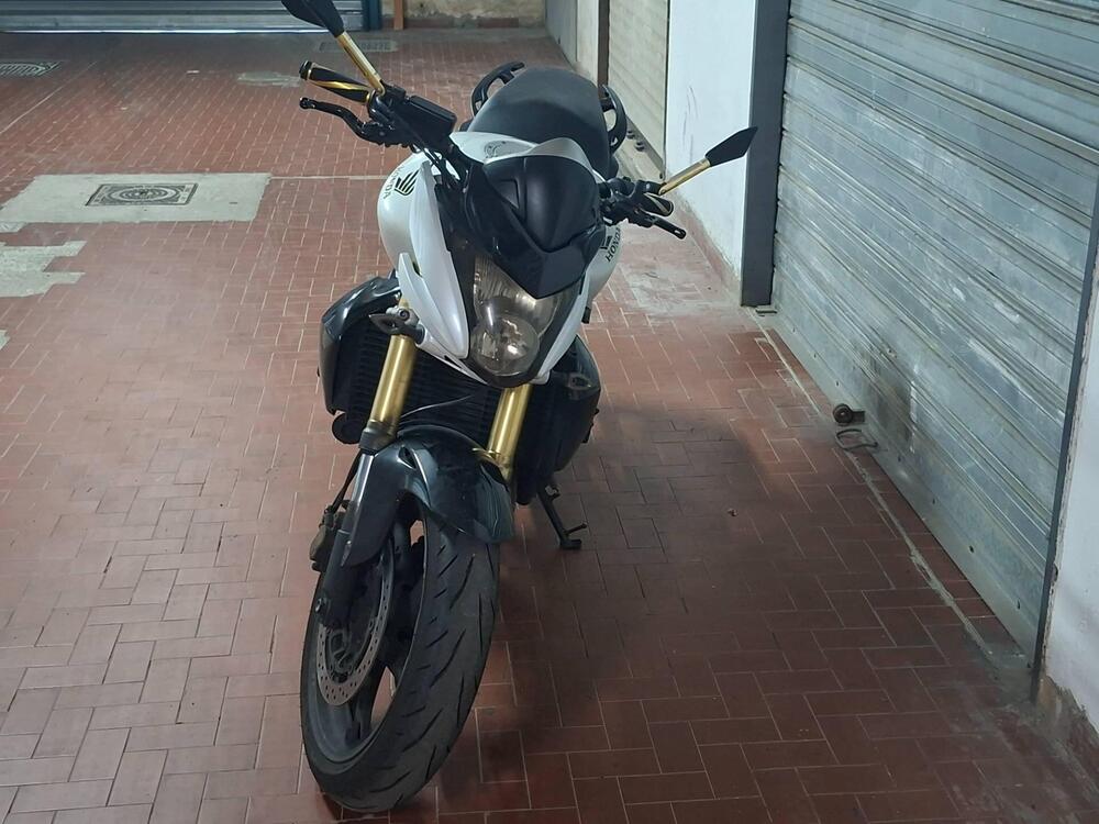 Honda Hornet 600 (2007 - 10) (3)