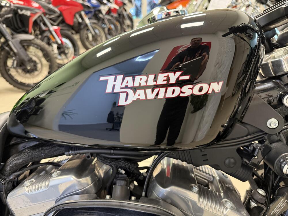 Harley-Davidson 883 Custom (2008 - 12) - XL 883C (6)