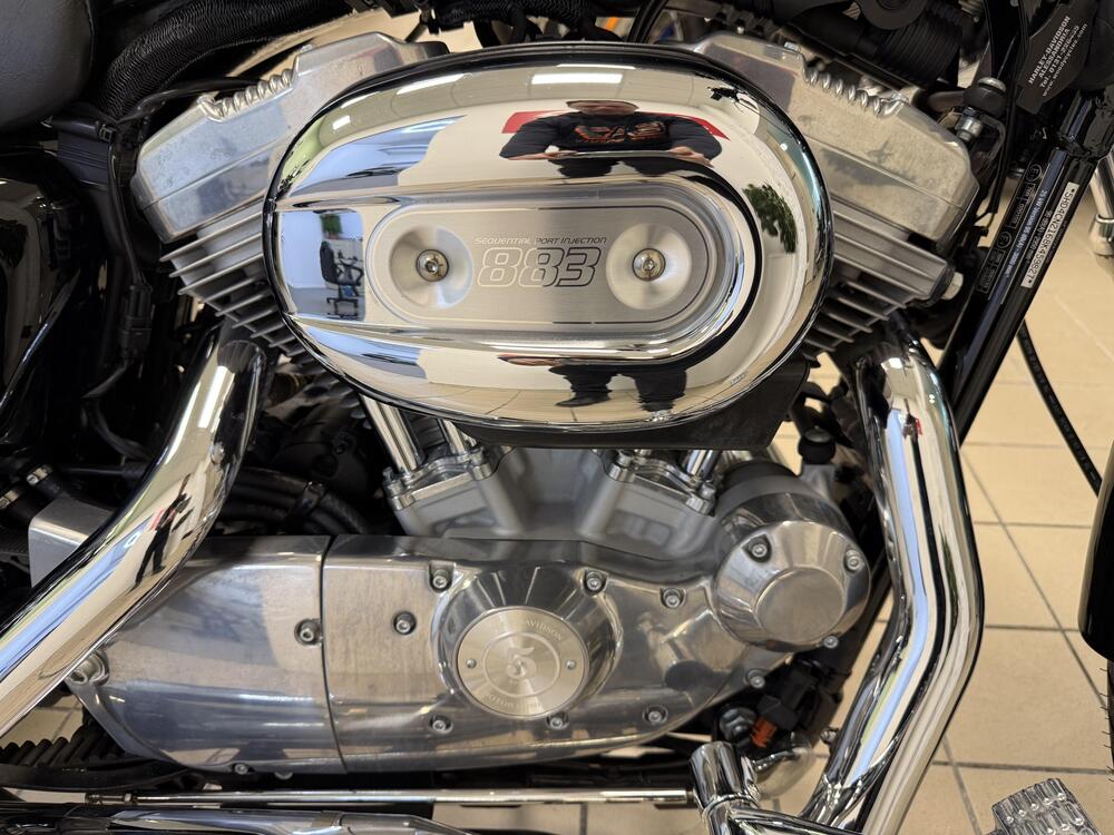 Harley-Davidson 883 Custom (2008 - 12) - XL 883C (7)