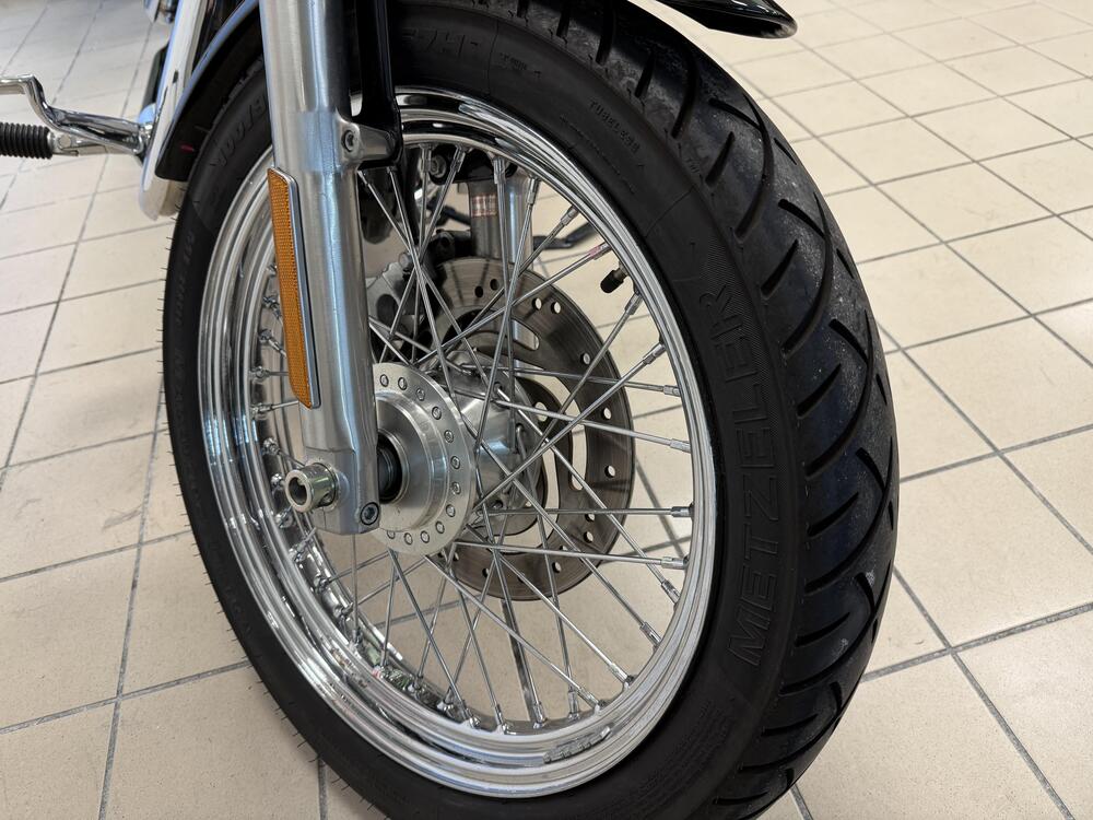 Harley-Davidson 883 Custom (2008 - 12) - XL 883C (12)