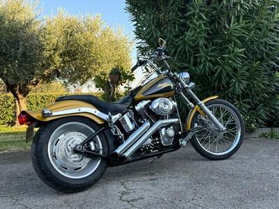 Harley-Davidson 1584 Custom (2008 - 09) - FXSTC usata