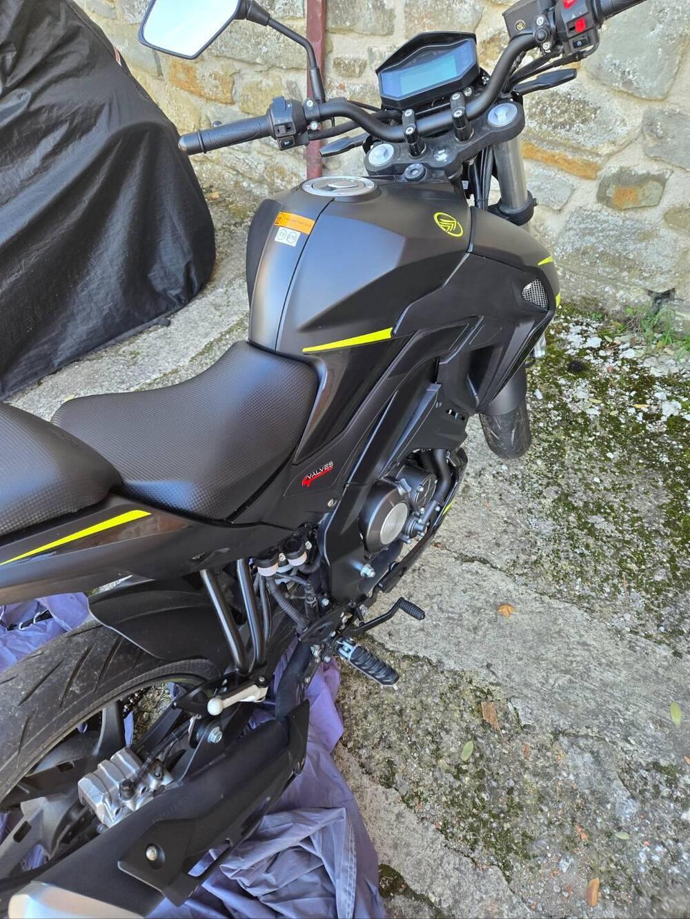 Keeway Motor RKF 125 (2021 - 24) (4)